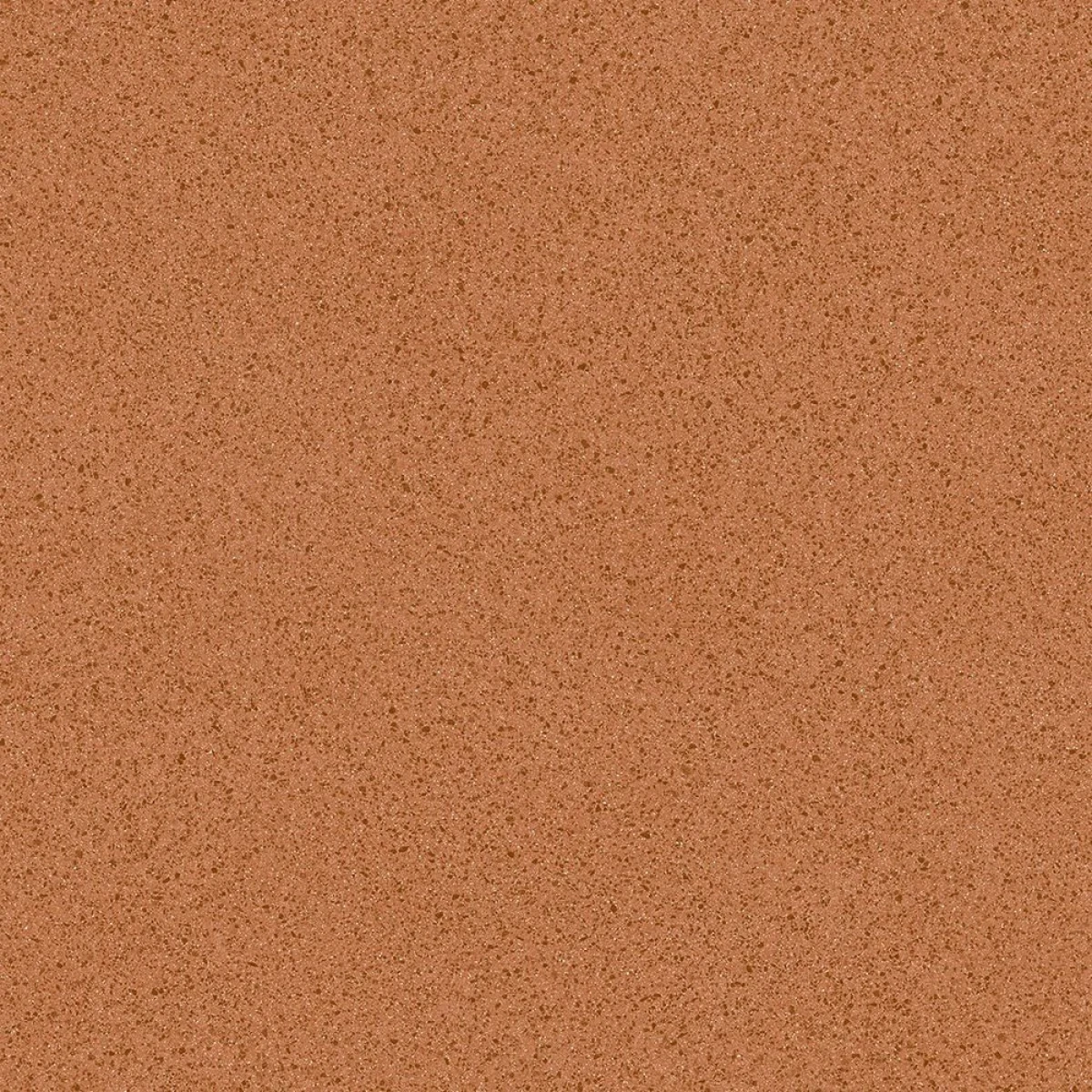 Sonora 8