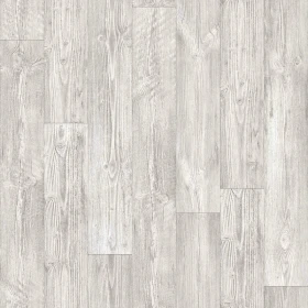 Australian Pine 1